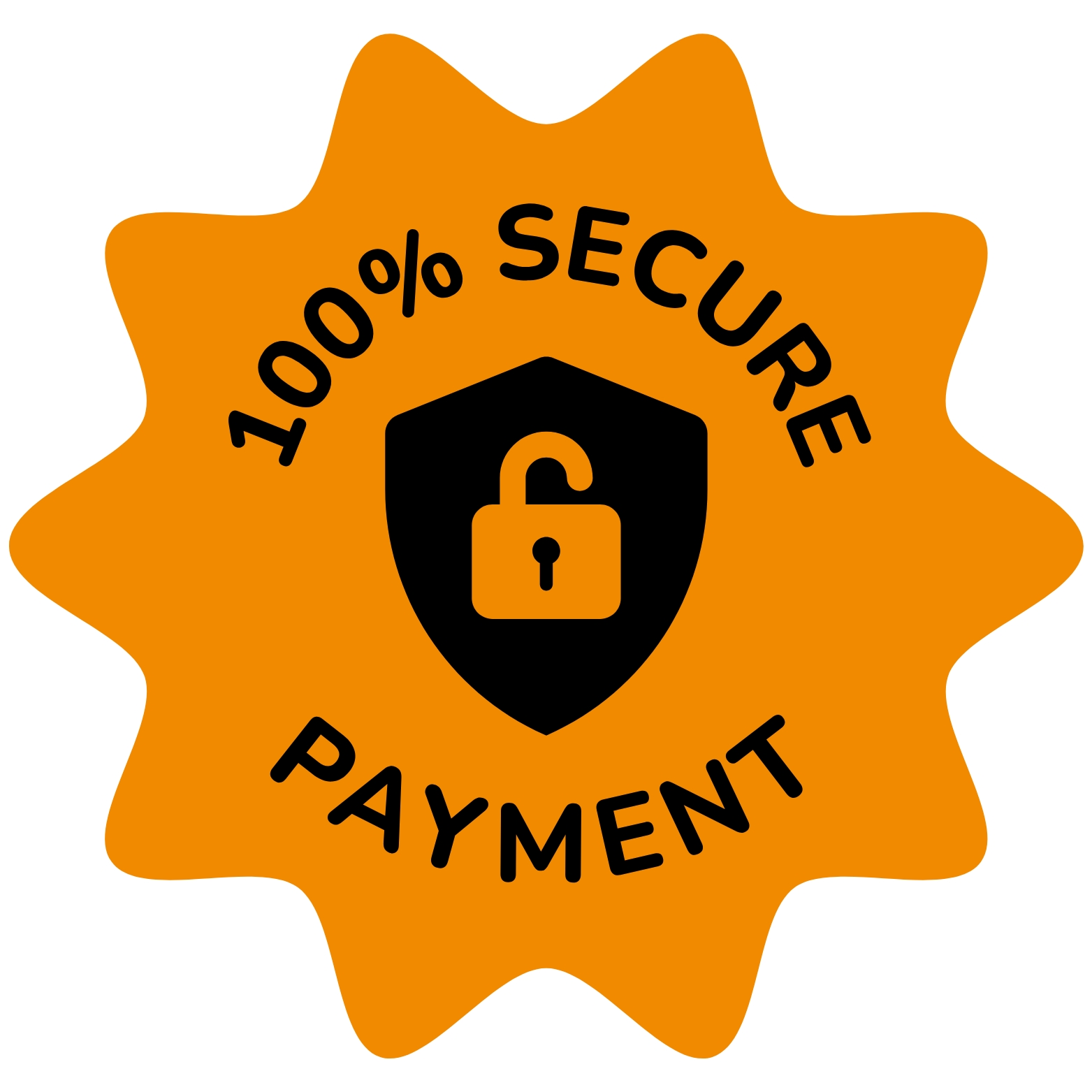 Secure Payment